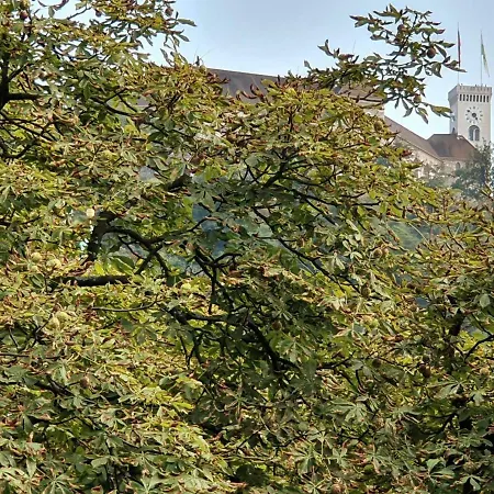 Look, The Castle! * Ljubljana