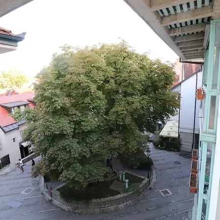 Look, The Castle! *